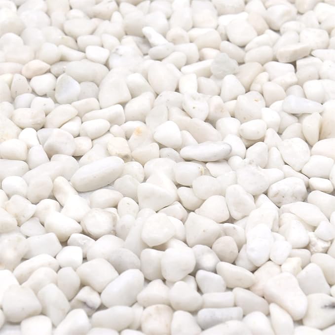 White Rocks for Plants & Garden. Decorative Polished Pebbles. 3/8 Inch 2lbs for Succulents, Vases & Pots (XSM (0.375 Inch), White - Lightly Polished, 2)