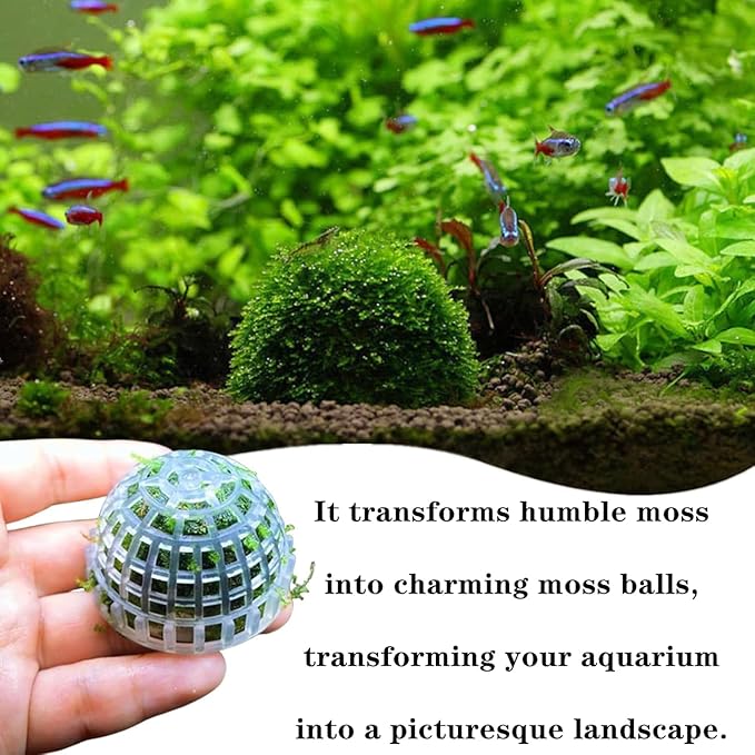 2 Pack Aquarium Moss Ball Holder, Hollow-Designed Plastic Plant Holder with Filter Stone for Shrimp & Fish Tank Decorations