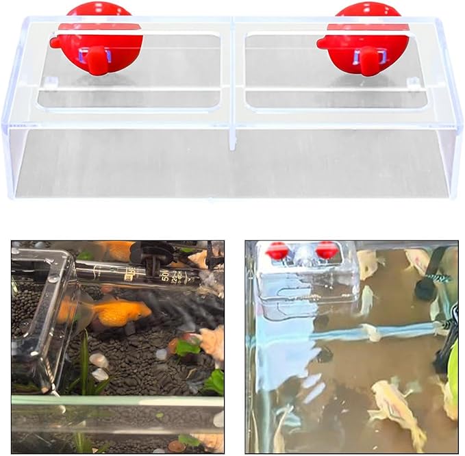 Fish Feeding Ring Float Food Tray Feeder Sturdy Gifts Fish Food Holder Versatile Turtles Aquatic Turtle Aquarium Accessories, L
