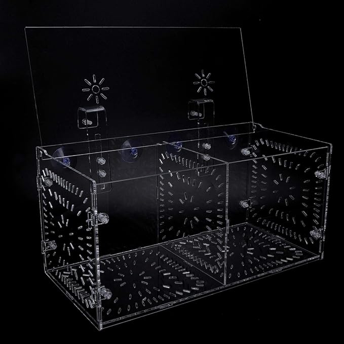 Aquarium Breeder Box for Fish Tank, Fish Breeding Box Tank Hatchery Incubator Aquarium Isolation Box for Seedlings Incubation(M)