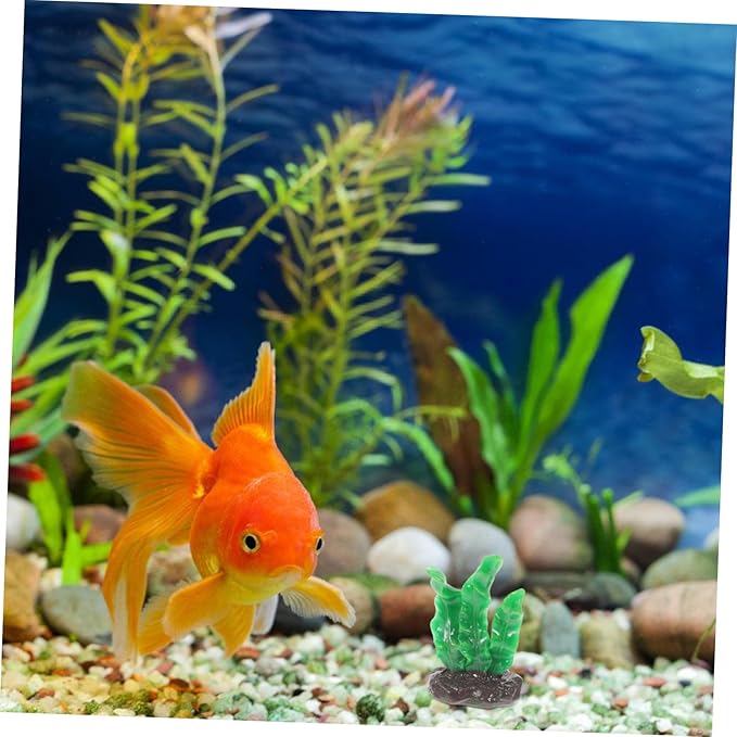 Amosfun 6pcs Artificial Coral Reef Decor Lifelike Underwater Plants for Fish Tank Safe Aquarium Supplies Coral Ornaments Easy Care Aquarium Decoration