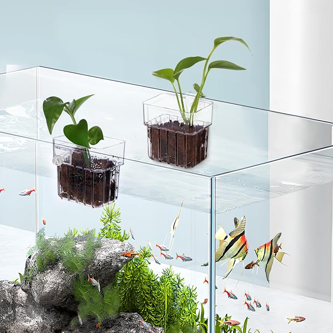 Kisangel 4Pcs Transparent Aquarium Plant Cups with Hooks 3.14X3.14X2.24In Fish Tank Plant Holders for Easy Installation and Healthy Root Growth in Aquatic Care