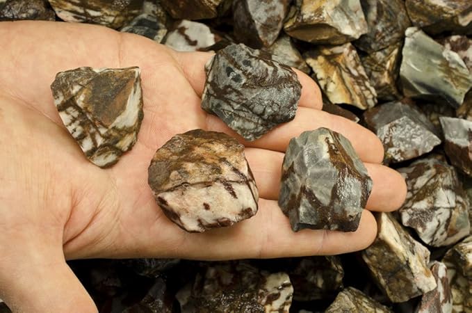 Fantasia Materials: 18 lbs Panther Jasper Rough Stones from India
