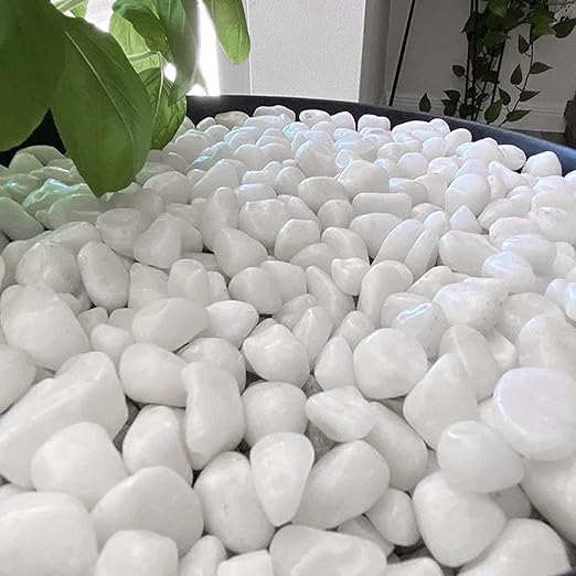White Pebbles for Indoor Plants 3.5 LB Small River Rocks 1"-1.5" Polished Decorative Stones Smooth Aquarium Gravel for Fish Tank Vases Planters Outdoor Landscaping Garden (56oz)