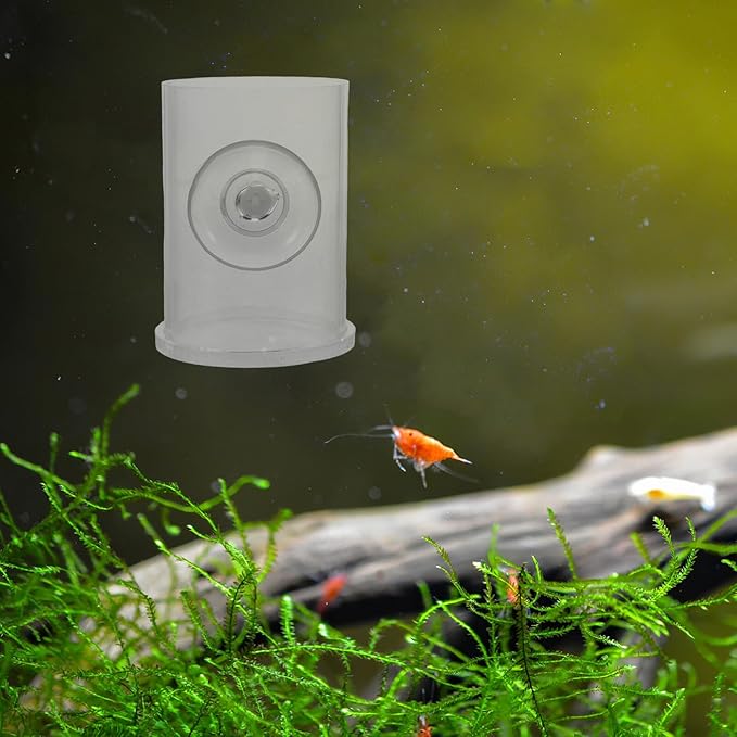 TEHAUX Fish Feeder Ring with Suction Cup Acrylic Shrimp Feeding Rack for Aquarium Tank Freshwater and Saltwater Fish Feeding Tool Vacation Feeder Station