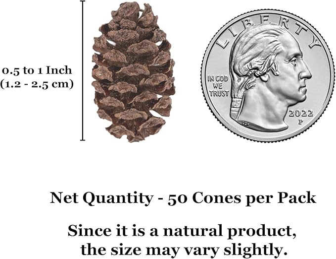 SunGrow Alder Cones for Shrimps, Water Conditioner for Freshwater Shrimp Tanks, Aquarium Decorations & Accessories (50 Pcs)