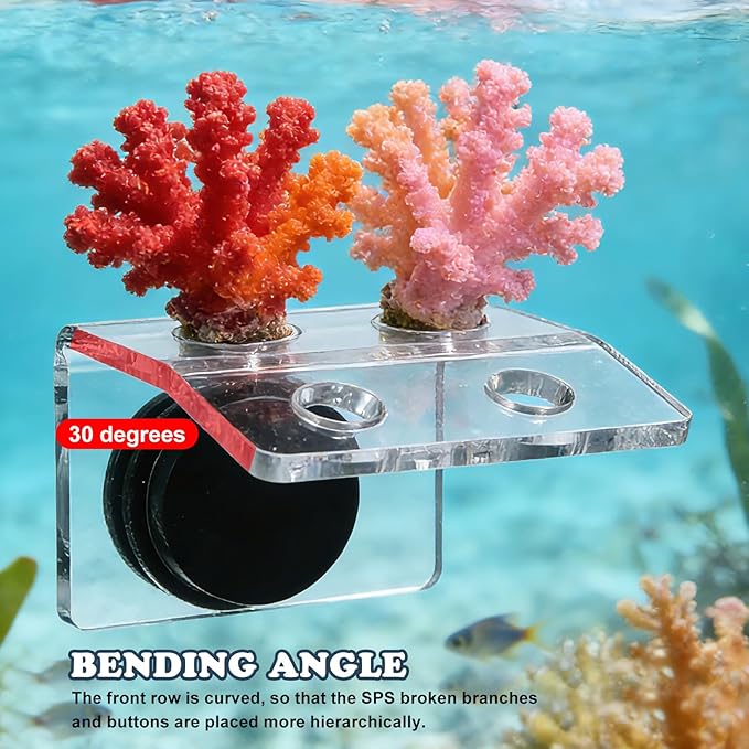 Balacoo Magnetic Coral Frag Holder, 4 Holes Acrylic Aquarium Coral Frag Rack with Strong Magnetic Suction Cup for Fish Tank Aquarium Plant Holder