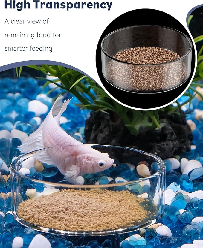 Pawfly Transparent Shrimp Feeding Dish, Clear Glass Aquarium Shrimp Feeder Dish, Food Tray for Fish Tanks and Terrariums (Without Suction Cup)