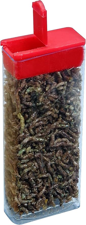 San Francisco Bay Brand All Natural Fish Food & Treat for Betta Fish - Freeze-Dried Bloodworms - Never Clouds Water - High Protein Tropical Fish Food for Betta, Freshwater Fish - 0.04 oz (1g)