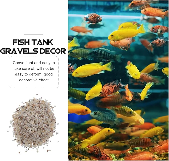 Ipetboom Aquarium Rocks for Fish Tank Decorative Gravel 1kg Natural Polished Fish Tank Gravels Bulk Aquarium Sands