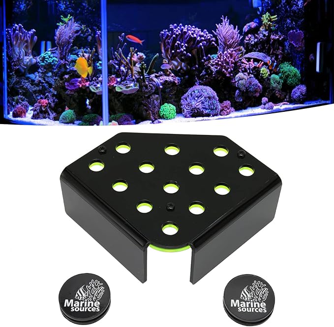 Coral Frag Rack, Magnetic Frag Coral Rack Fluorescent Green Safe Stable 13 Holes Acrylic Coral Rack with Magnetic Suction Aquarium Spare Parts for Saltwater Aquarium, Live Coral, Household Fish Tanks