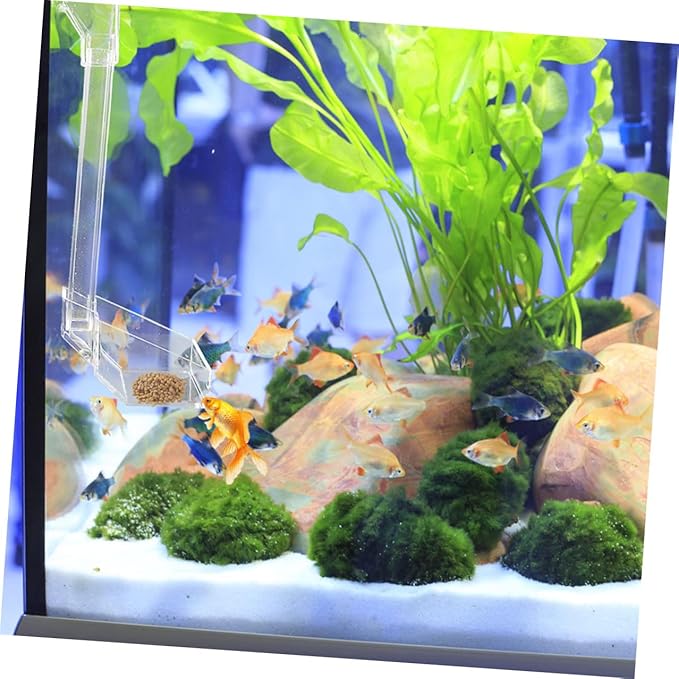 DOITOOL Acrylic Aquarium Fish Feeder Tube with Shrimp Feeding Dish 21cm for Fish Tank Automatic Feeding Aquarium Accessories