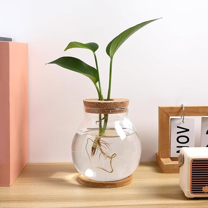 HANABASS Desktop Fish Bowl Hydroponic Terrarium Small Glass Betta Fish Tank with Wood Lid and Bamboo Stand for Home Office Decoration