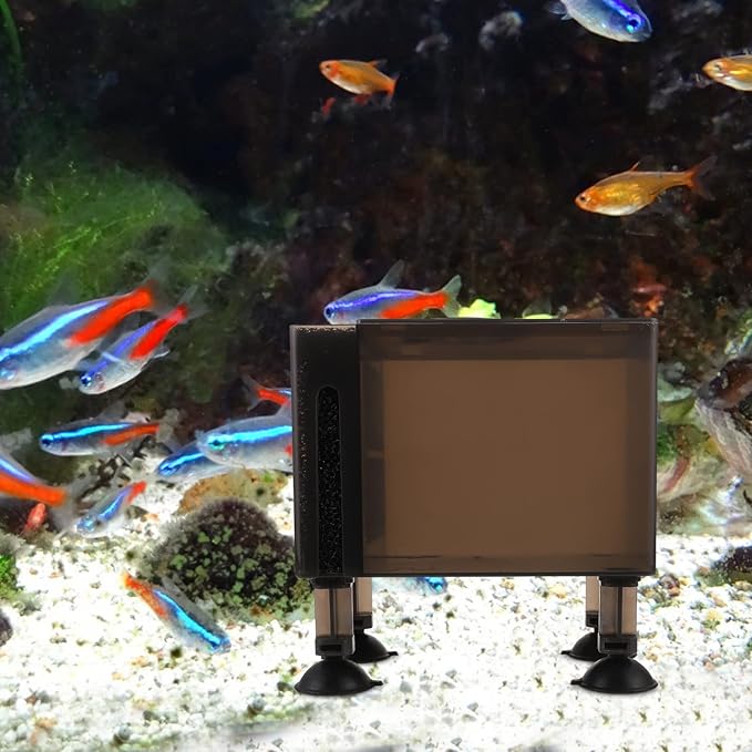 Ipetboom Protective Pump Container with Filter Box Wear-Resistant Household Pump Box Compact 5.90X5.51X3.54 Inch for Aquarium Pond Fountain Pumps