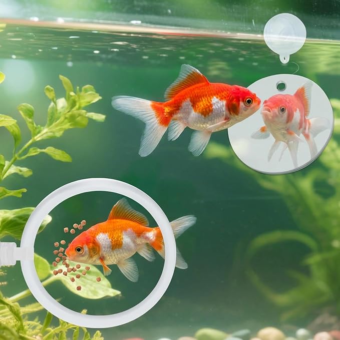 2 Pcs Betta Fish Exercise Ring & Mirror Set, Floating Enrichment Toys with Feeding Ring for Betta Tank, Training & Play Accessories to Prevent Boredom, Safe Aquarium Decor for Beta Fish