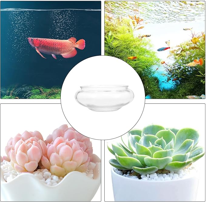 DOITOOL Clear Fish Bowl Vase Glass Bubble Bowl Round Shallow Planter Terrarium Fish Bowl Water Lily Bowl Wide Mouth Flower Vase Aquatic Plant Pot Hydroponic Planter Glass Fish Tank Bowl, S