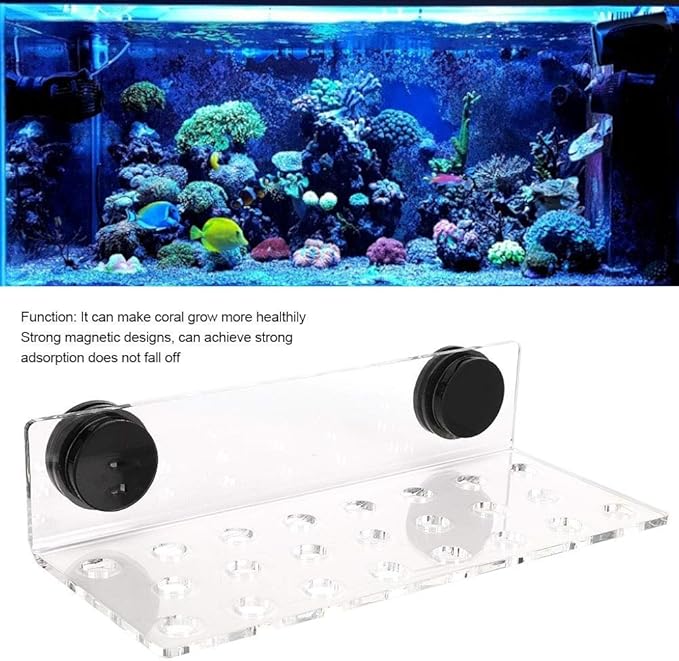Zerodis Fish Acrylic Bracket Base, Aquarium Rack Bracket Transparent Bracket Holder Frag Plugs Rack Suction Cup(23Holes)