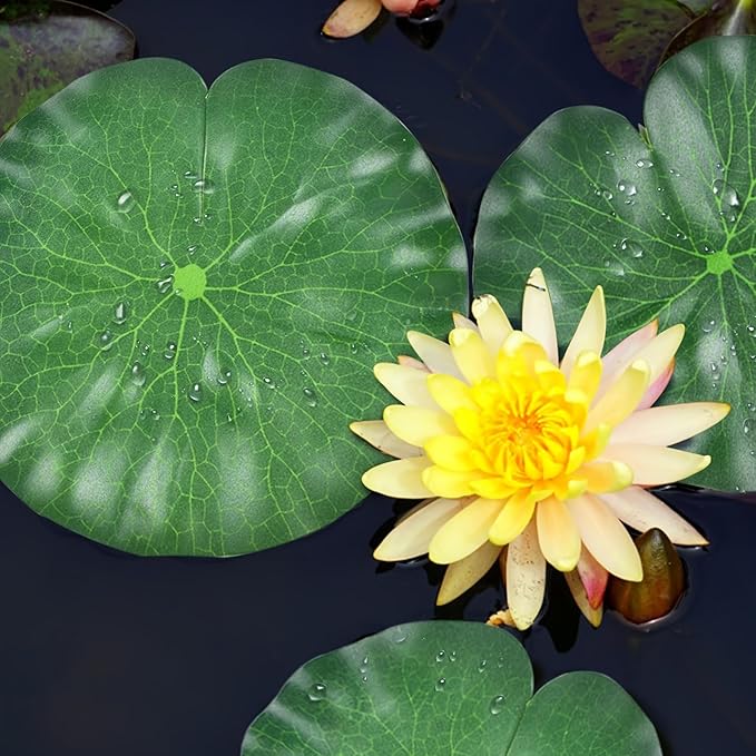 6Pcs Floating Lily Pads for Ponds: Realistic Lily Pads Leaves, Artificial Floating Foam Lotus Leaves Pond Decor for Pond Pool Koi Fish Patio Aquarium