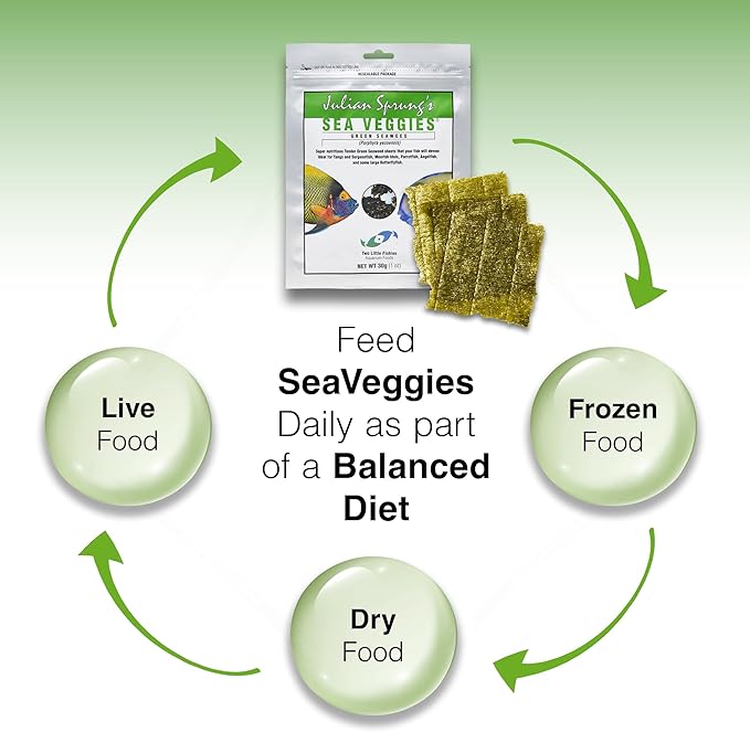 Two Little Fishies Atlsvgs4 Sea Veg-Green Seaweed, 1 Oz