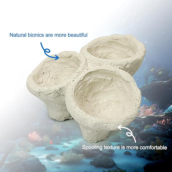 Anemone Nest,Fish Tank Decorations,Saltwater Aquarium Accessories,Aquarium Decor,Anemone Coral Ideal Habitat (Medium)