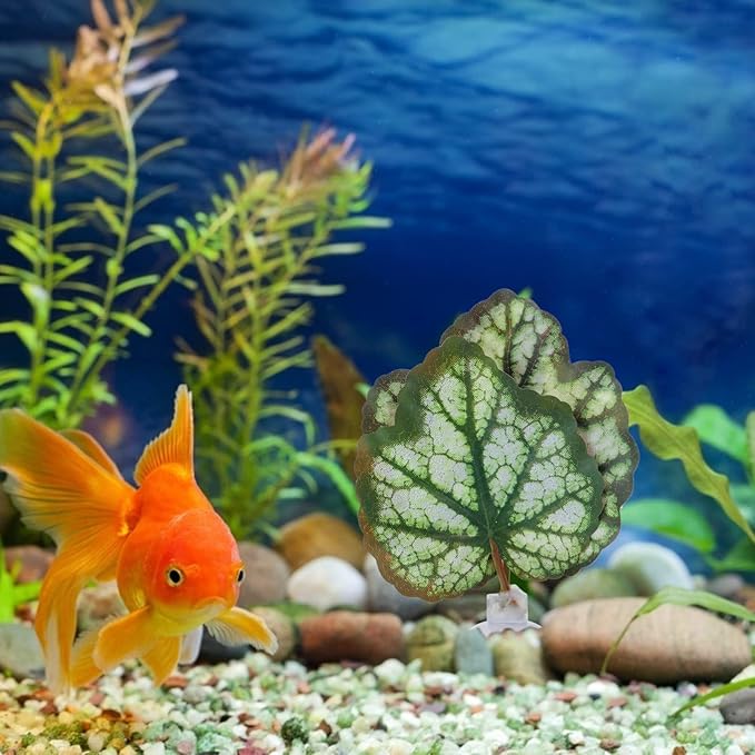 iplusmile Betta Fish Leaf Pad 2Pcs Aquarium Leaf Hammocks Pad Fish Tank Plants Accessories for Playing Hideout and Aquarium Decorations Simulating The Habitat Green