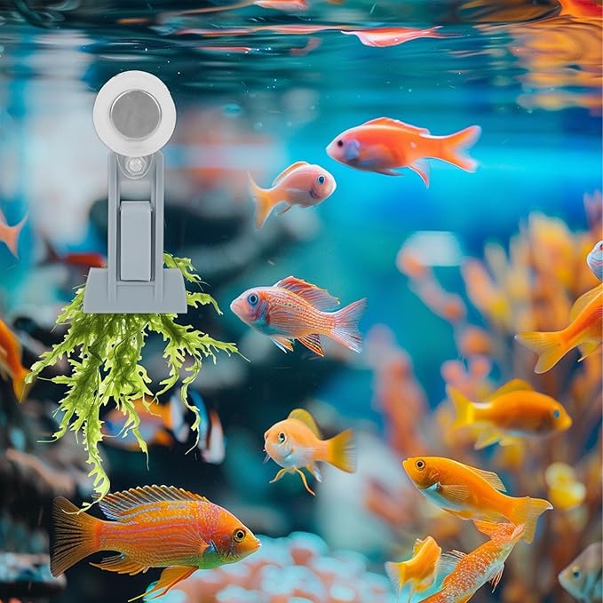 Magnetic Seaweed Feeder Clip, Plastic Algae Feeding Clip Saltwater Automatic Fish Feeding Ring Fish Aquarium Accessories for Aquatic Pets