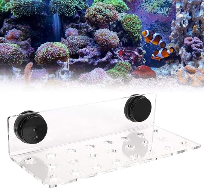 Zerodis Fish Acrylic Bracket Base, Aquarium Rack Bracket Transparent Bracket Holder Frag Plugs Rack Suction Cup(23Holes)