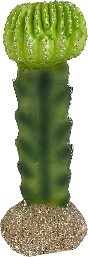 Multi Pet 48593325: Komodo Cactus Plant Moon, 7.5In