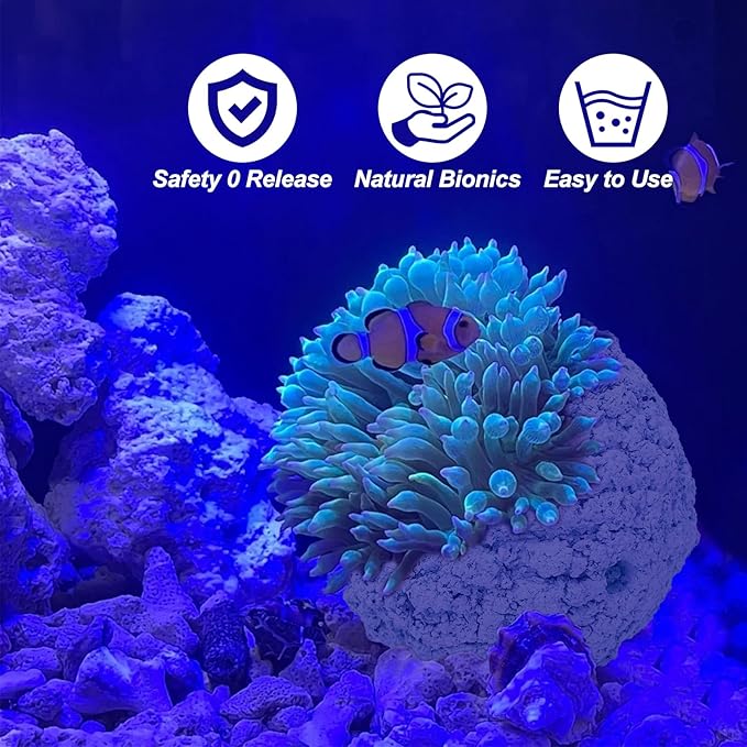 Anemone Nest,Fish Tank Decorations,Saltwater Aquarium Accessories,Aquarium Decor,Anemone Coral Ideal Habitat (Oblique Mouth 2.67-3.15 in)
