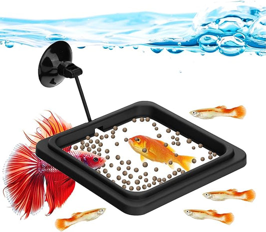 DaToo Fish Feeding Ring Aquarium Square Floating Food Feeder Circle with Strong Suction Cup Fish Tank Feeding Ring for Betta Goldfish Guppy