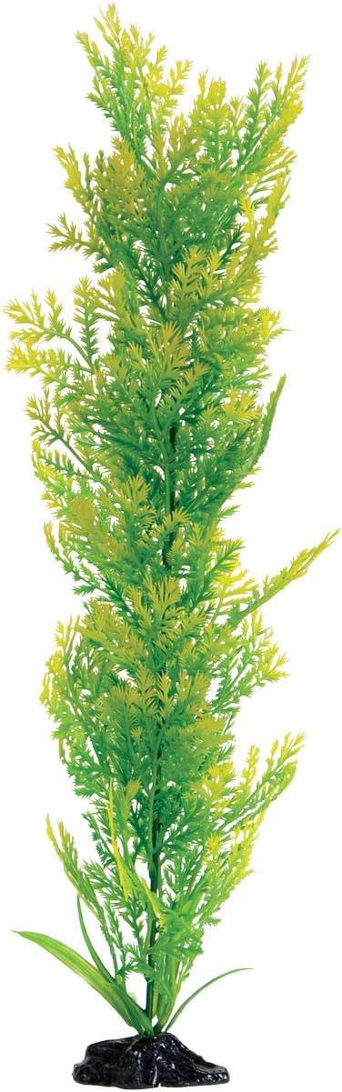 Underwater Treasures Water Violet - 20"