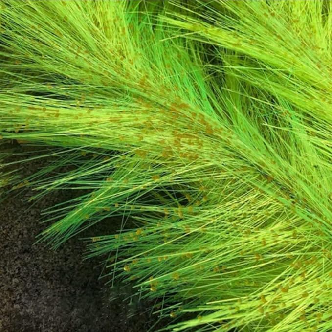 Pssopp 60cm/100cm Fish Breeding Grass Baby Fish Hideout Decorative Aquarium Grass for Aquarium Fish (100cm)