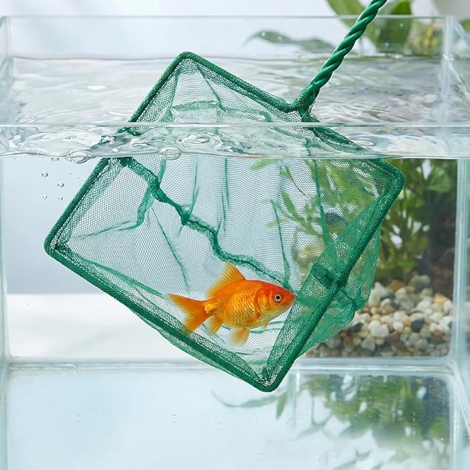 3 Pack Fish Net Aquarium Fine Fishing Mesh with Plastic Handle, 6-Inch