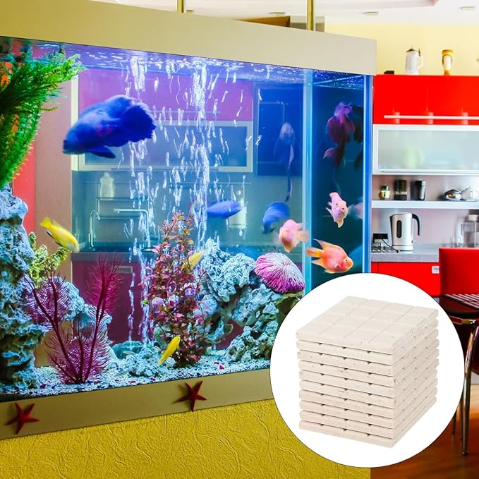 Ipetboom Frag Disks Coral Frag Plugs Support Bases for Fish Tank Aquarium Ceramic Coral Mount Plates 1.96In Square Aquarium Accessories