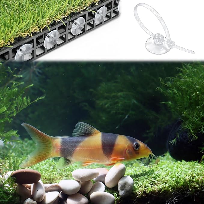 Thinp 30 Pcs Aquarium Suction Cups with 30 Pcs Adjustable Cable Ties, Clear Fish Tank Suctions Cups-Small Suction Cups for Aquarium Plants Planter Moss Shrimp Nest