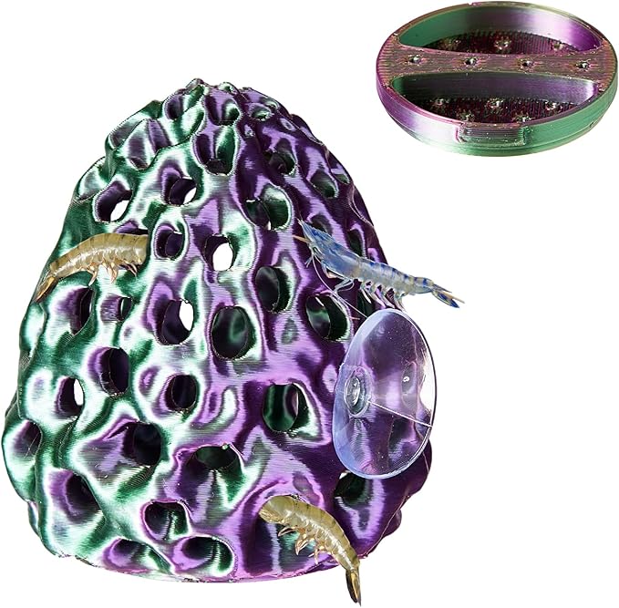 Shrimp Dome Hide, Shrimp Hides for Aquarium, Betta Fish Hideout with Suction Cup, Betta Habitat Tank Ornament Accessories, Aquarium Decor for Small Fish Guppy Hiding Resting (Lid Green Purple)
