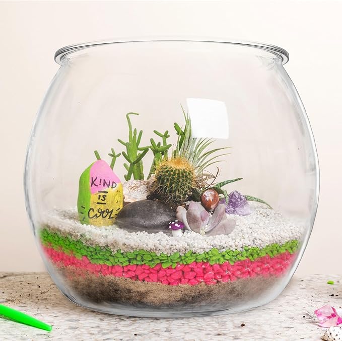 Balacoo Plastic Fish Bowl, Wide Round Terrarium, Unbreakable, Transparent, 24.5cm (LxWxH), for Fish, Home Decoration
