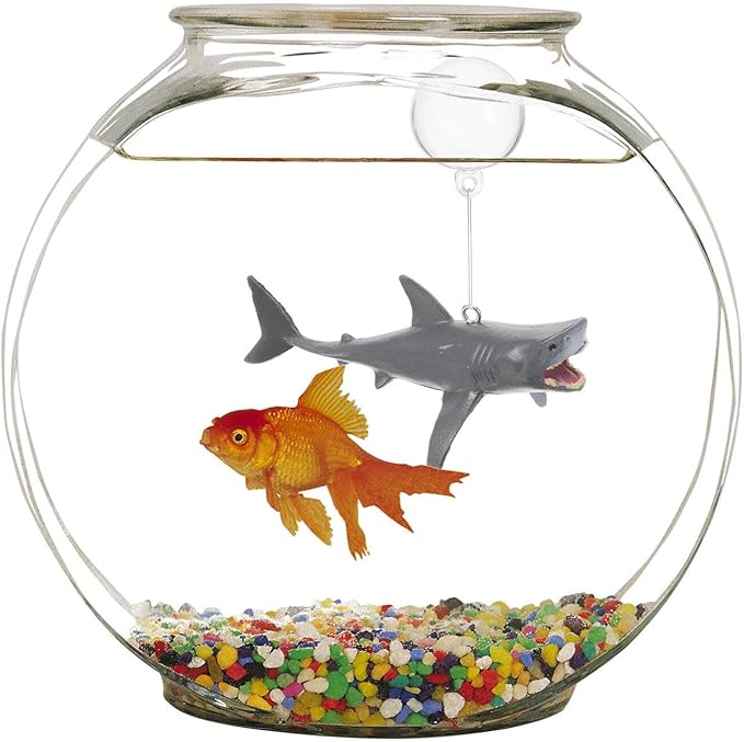 Beaupretty 2 Sets Fish Decoration Fish Tank Floating Decorations Fish Tank Accessories Sharks Aquarium Layout Prop