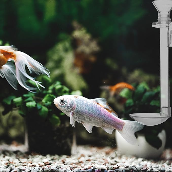 INOOMP Wall-Mounted Fish Feeder with Transparent Sinking Tube and Feeding Ring Easy Setup Aquarium Shrimp Feeder for Fish Tank 5.90 Inch