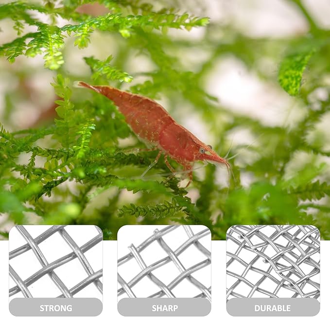 Beaupretty 10pcs Aquatic Planting Mesh Moss Fixed Net Stainless Steel Net Aquatic Moss Mesh Fish Tank Accessory Aquarium Grass Fixed Fish Tank Plant Plant Aquarium s