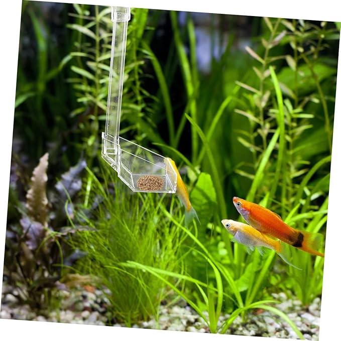 DOITOOL Acrylic Aquarium Fish Feeder Tube with Shrimp Feeding Dish 21cm for Fish Tank Automatic Feeding Aquarium Accessories