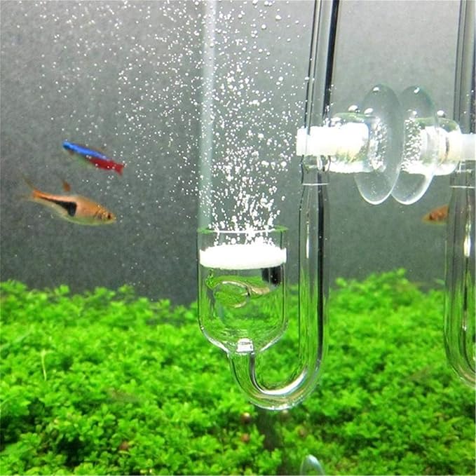 Aquarium Co2 System Diffuser Check Valve Set U Shaped Glass Tube Bend Accessory DIY Accessories