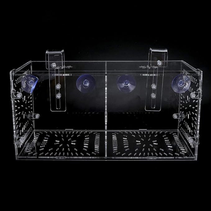 Aquarium Breeder Box for Fish Tank, Fish Breeding Box Tank Hatchery Incubator Aquarium Isolation Box for Seedlings Incubation(M)