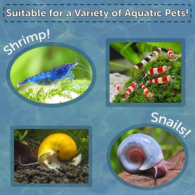 Calcium Blocks Included in Snail & Shrimp 4mm Sinking 40% Protein Nuggets. Ideal for All Snails, Shrimp and Bottom Tropical Fish…10oz Jar
