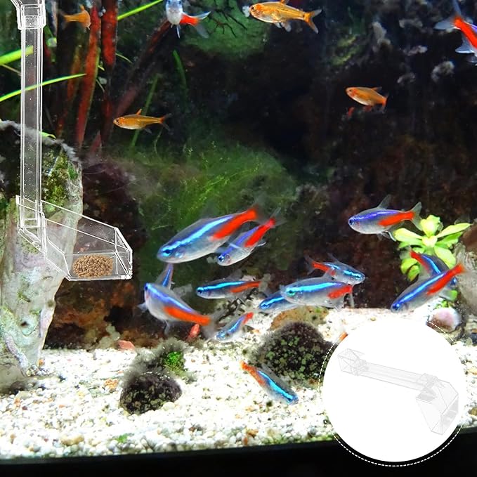 Shrimp Aquarium Feed Tube and Feeding Dish, 21cm Acrylic Fish Feeder for Shrimp Tank, Aquarium Supply for Automatic Feeding of Aquatic Pets
