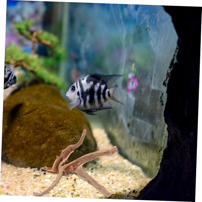 Milisten 3pcs Aquarium Driftwood Branches Unique Spider Wood for Fish Tank and Reptile Terrarium Decoration Random Shapes Versatile Underwater Aesthetic Enhancer