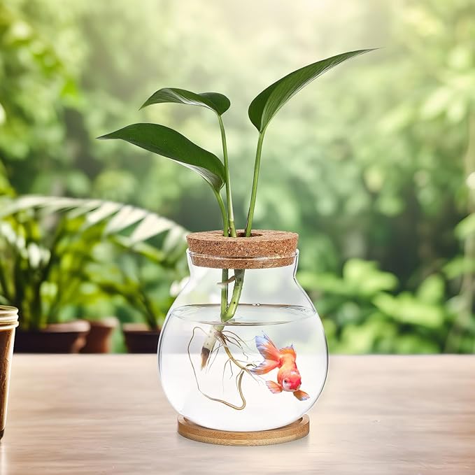Milisten Desktop Fish Tank Small Glass Fish Bowl with Bamboo Cushion and Wood Lid Hydroponic Plant Terrarium Betta Aquarium for Home Office Decoration