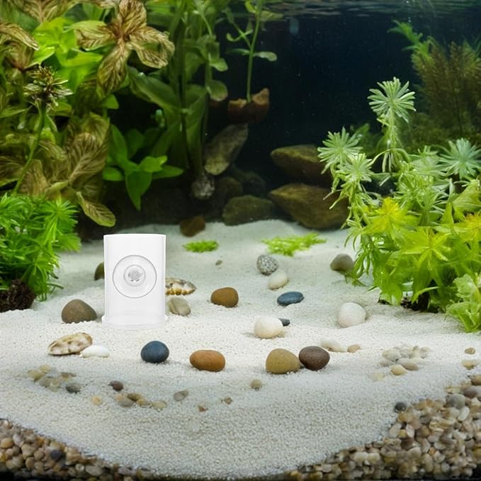 Fish Tank Feeder Semi-Automatic Feeding Ring with Suction Cup Acrylic Shrimp Food Dish for Aquarium Small Fish Turtle Supplies