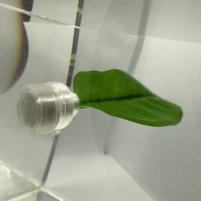Magnetic Betta Leaf Hammock Bed for Aquariums and Fish Tanks (2-Pack)
