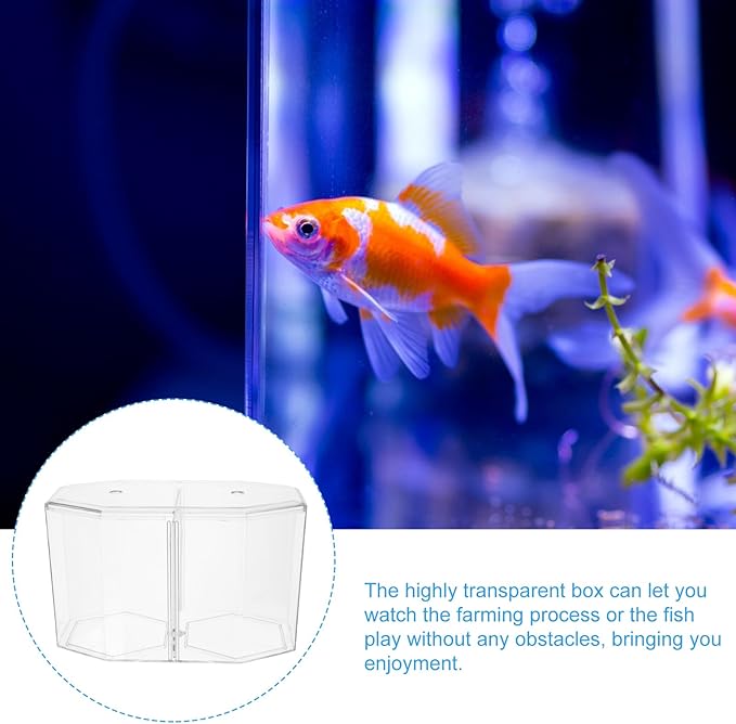 Mipcase Acrylic Betta Fish Tank Isolation Box 8-Inch Divided Breeding Tank for Betta Fish with Transparent Design Small Aquarium for Spawning and Incubation